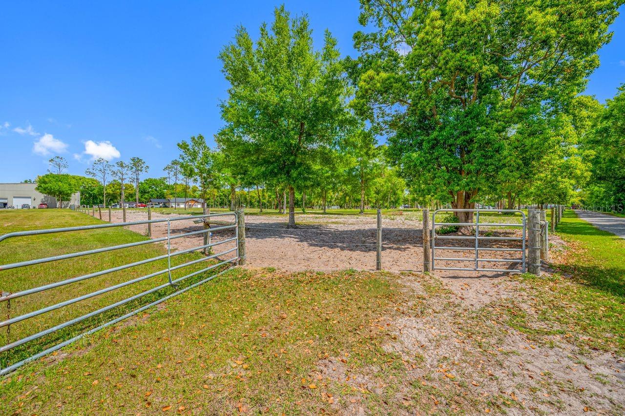 GUILLEN ESTATES LOT 5 REPLAT - Land