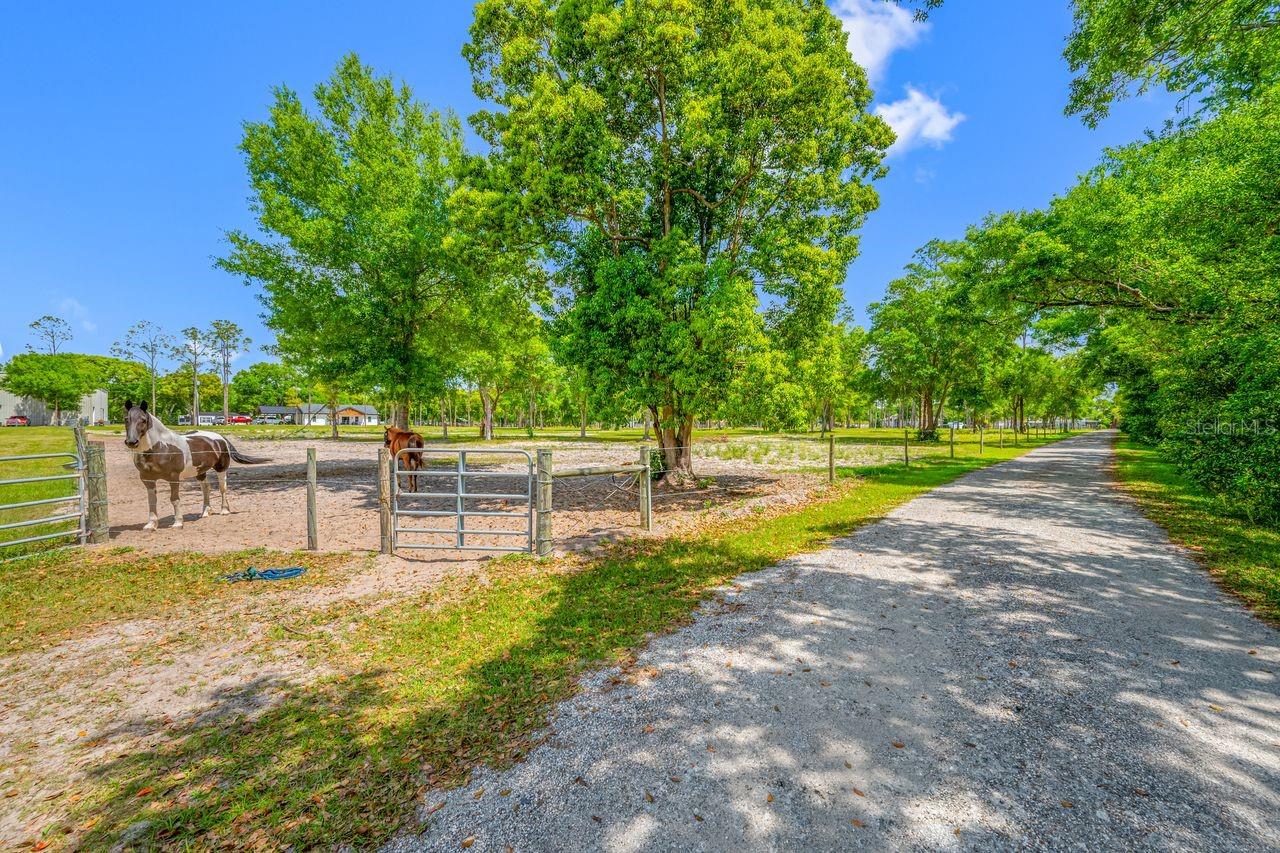 GUILLEN ESTATES LOT 5 REPLAT - Land