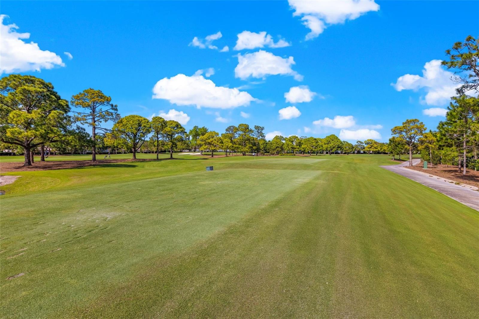 BELLEAIR ESTATES 1ST ADD - Residential