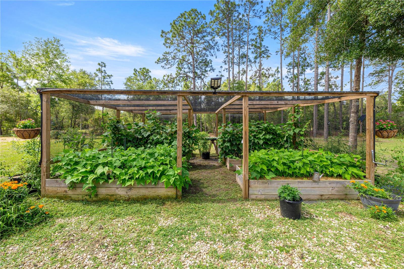 CITRUS SPGS UNIT 06 - Residential