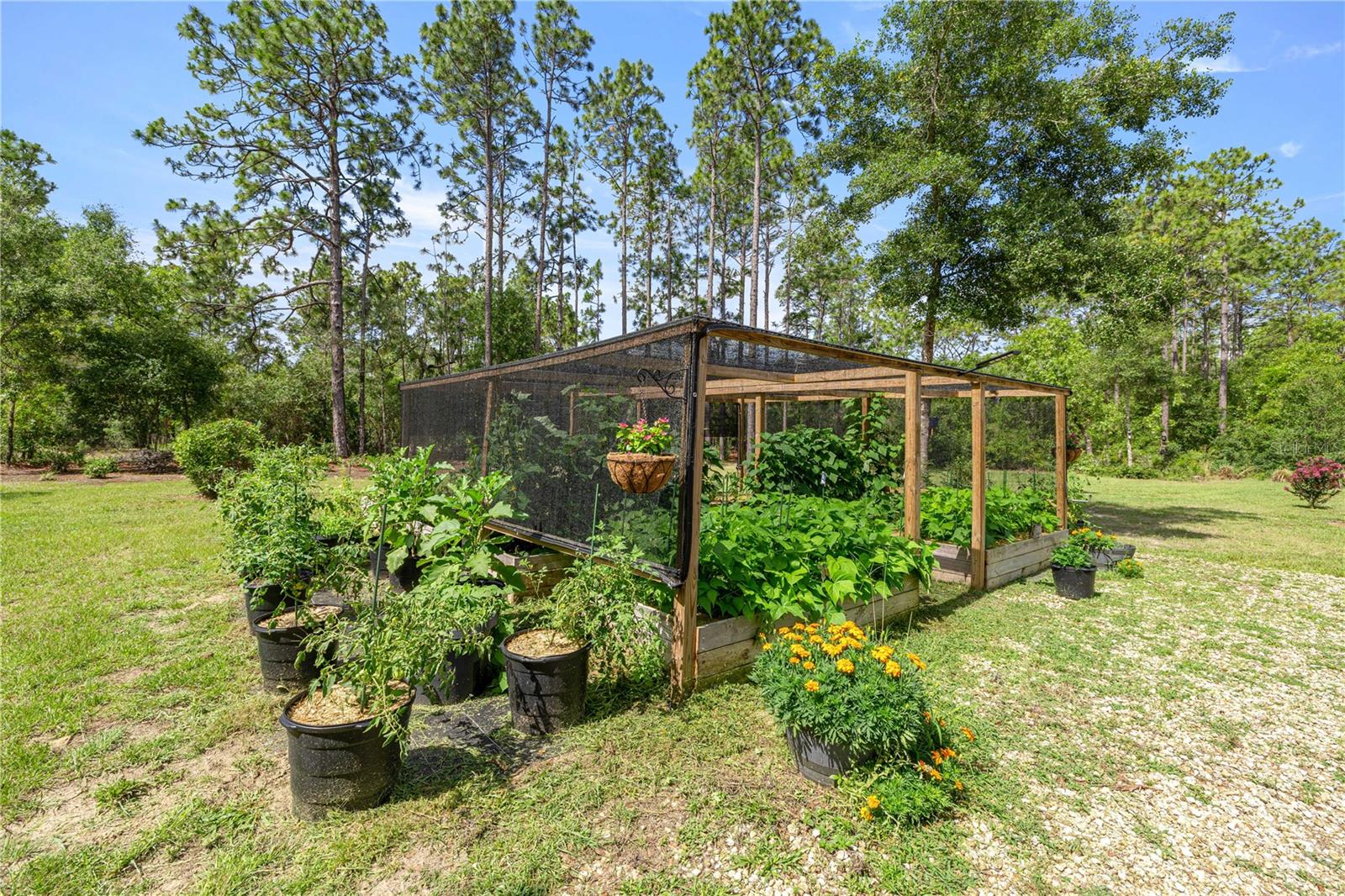 CITRUS SPGS UNIT 06 - Residential