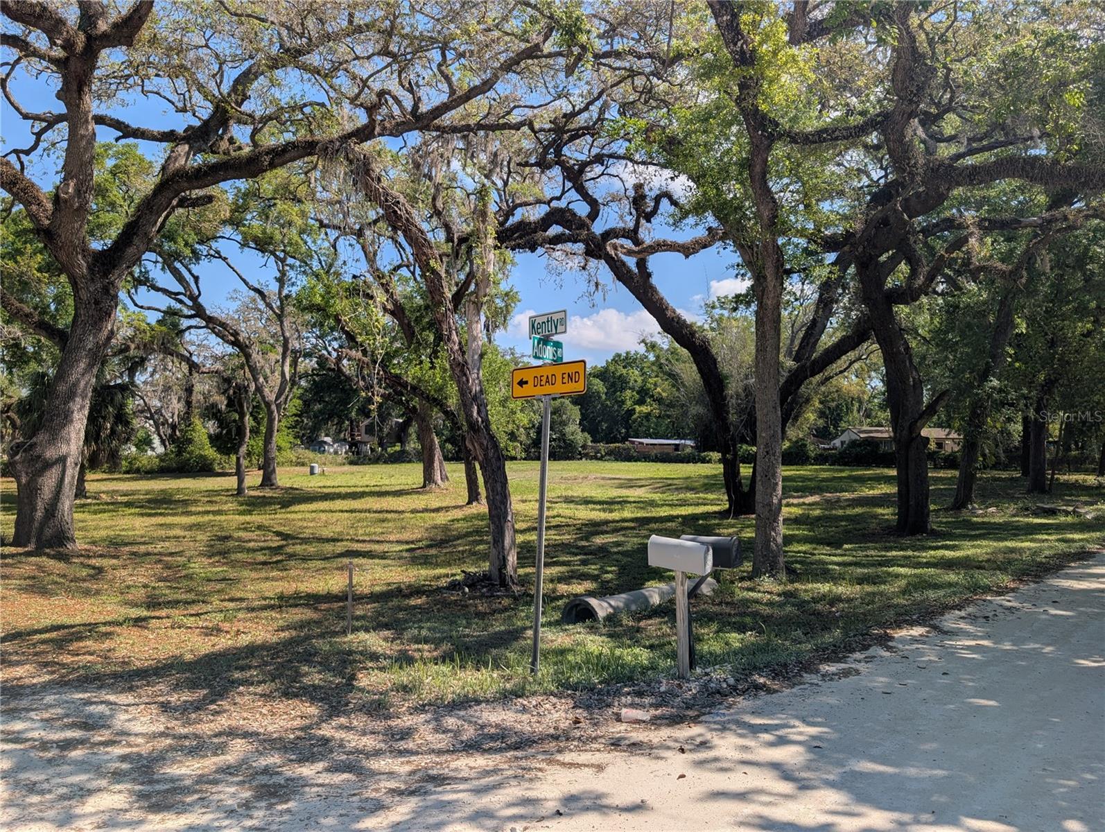 LOCATION LOCATION prime area, ready to build your new home? Look no further.  The lot is cleared and Septic and Well are installed.  All it needs is your Home to be built. Buyers / Buyers representative need to verify all usage with Pasco County. Survey, Well, Septic docs attached in MLS.  No Flood zone, flat lot with some mature trees. Easy access everywhere.