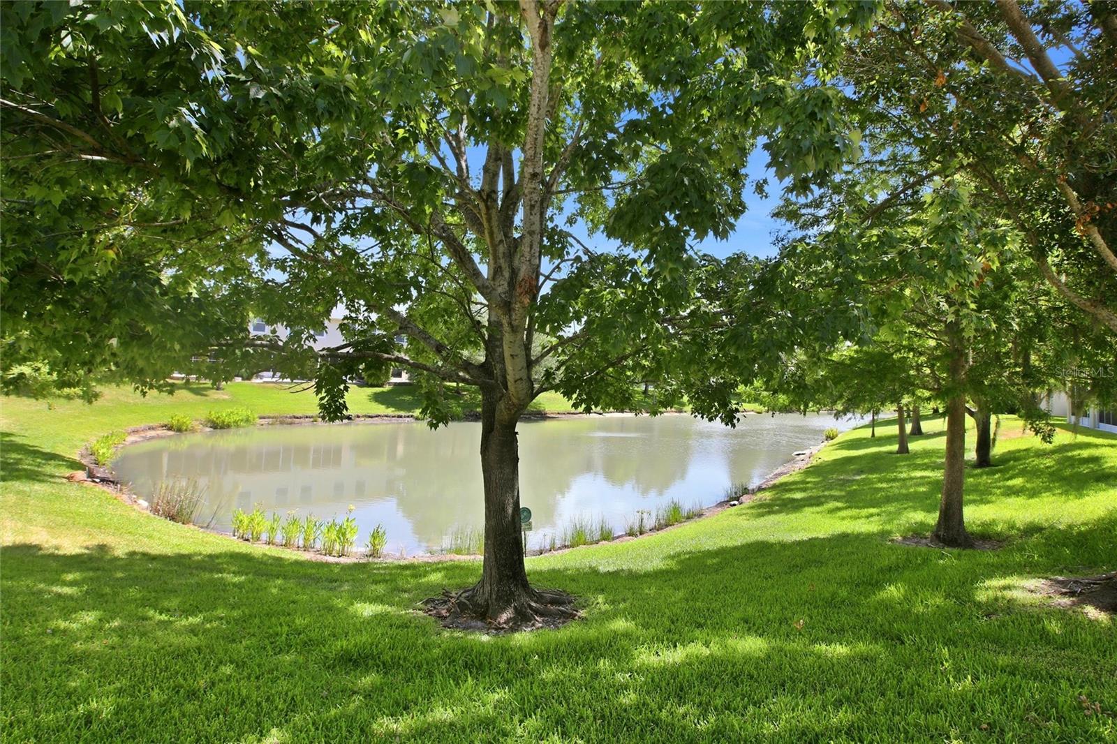 HARBOR RIDGE OF PALM HARBOR - Residential