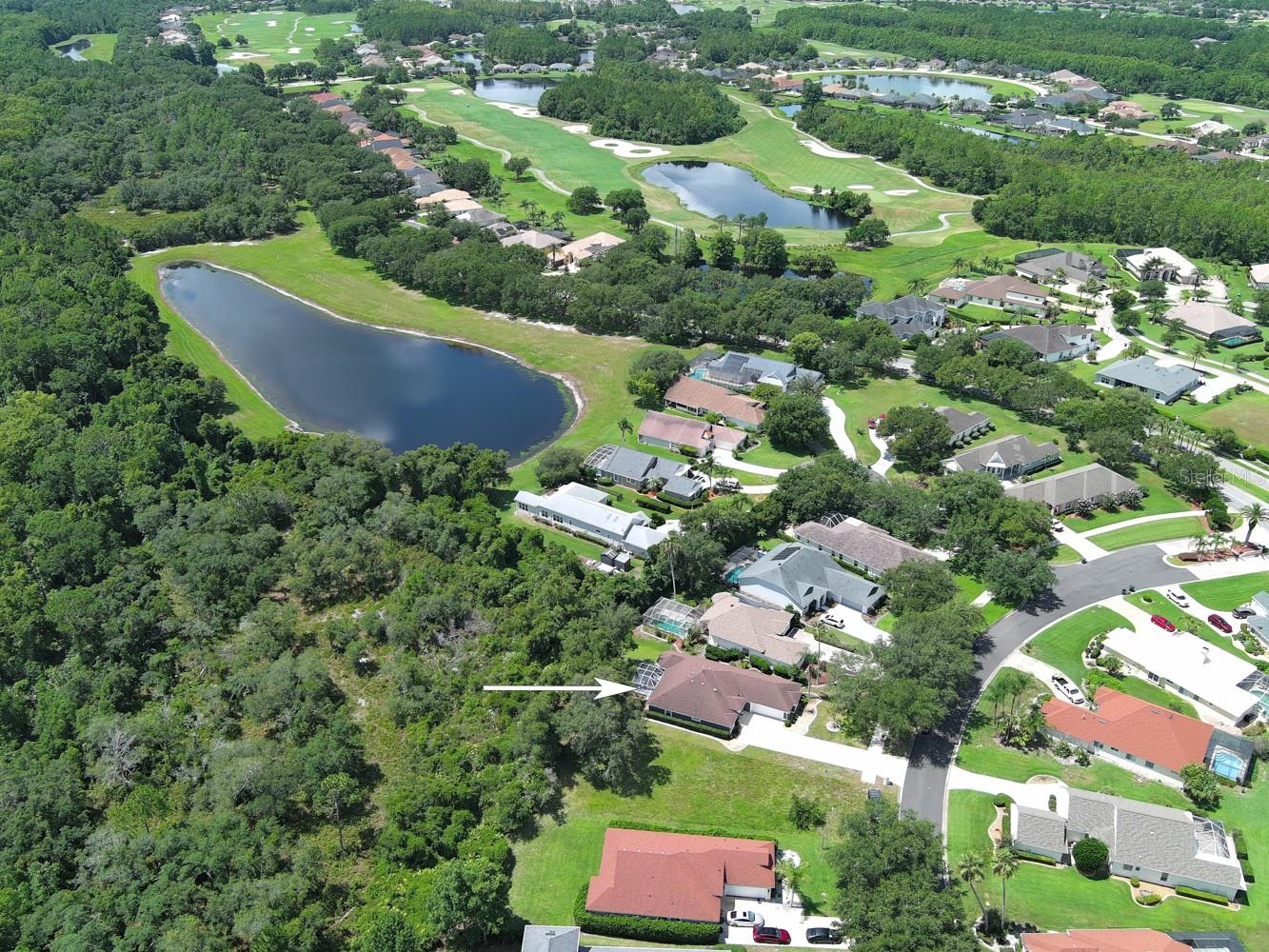LIONSPAW ACCLAIM TR A - Residential