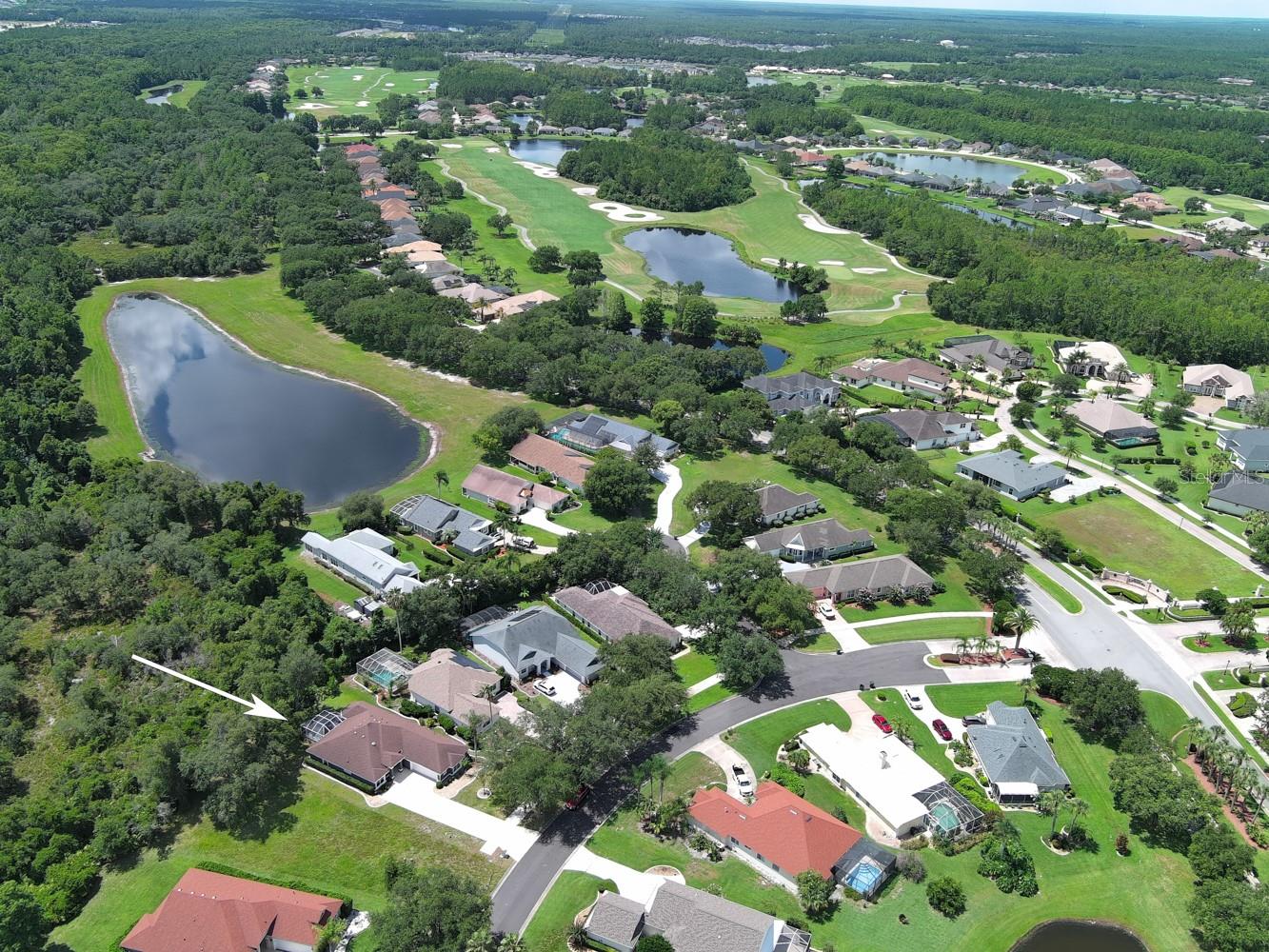 LIONSPAW ACCLAIM TR A - Residential