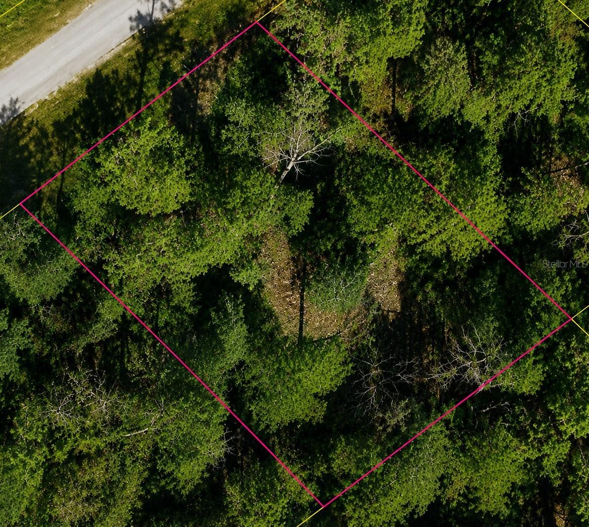 Build your vision in growing North Port! This approximately 0.23-acre vacant residential lot is located on Bignay Rd in the desirable Port Charlotte Subdivision, offering an opportunity to own land in one of Southwest Florida’s expanding communities. Zoned for residential use, this property provides convenient access to shopping, dining, schools, parks, and major roadways while still offering a peaceful setting surrounded by Florida’s natural beauty. Whether you’re planning for a future home or adding land to your investment portfolio, this lot is worth a look.  Buyer and buyer’s agent are responsible for independently verifying zoning, dimensions, utilities, building requirements, environmental conditions, and all other information with the City of North Port and appropriate authorities.
