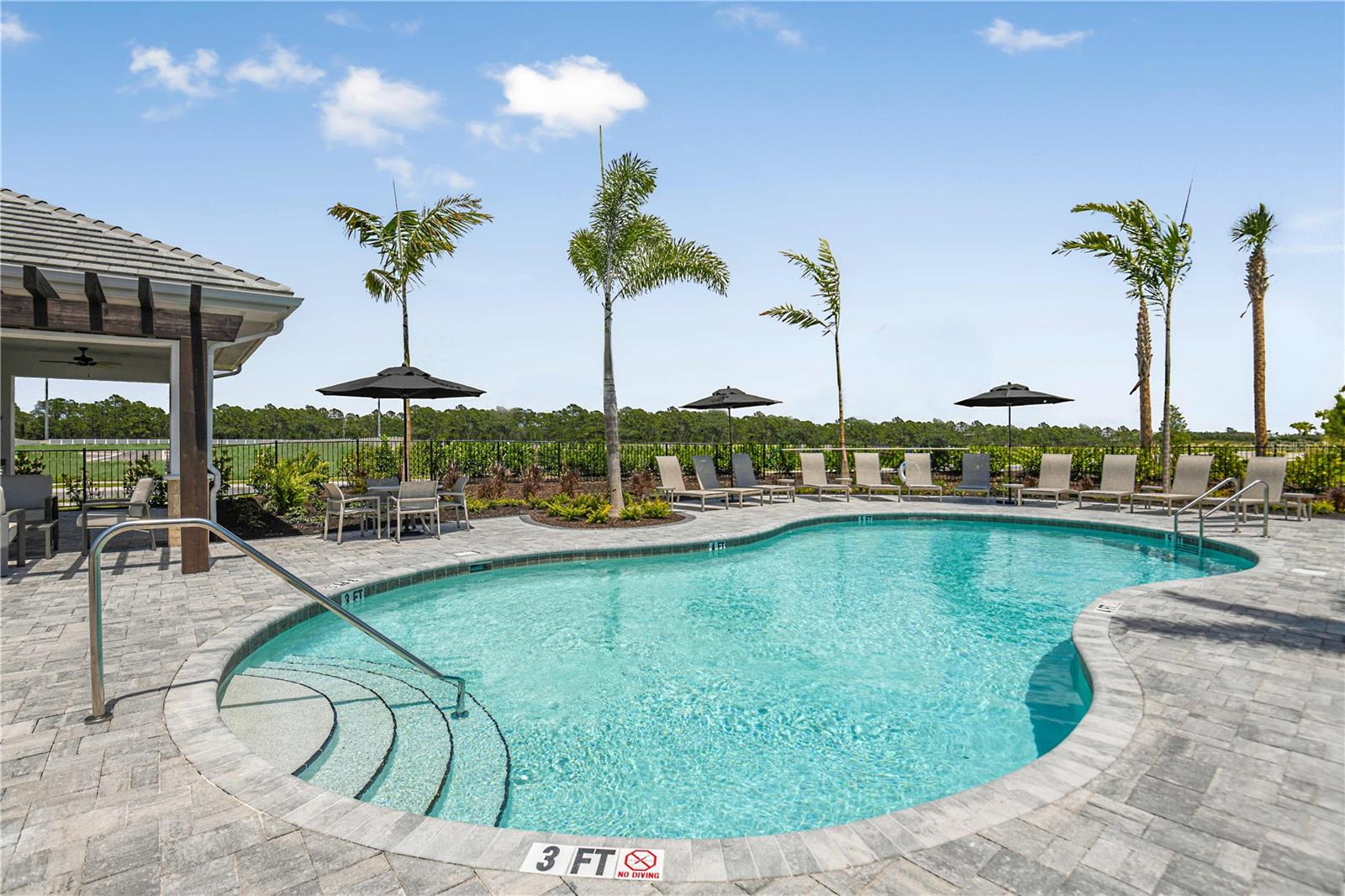 THE TOWNS AT SKYE RANCH - Residential