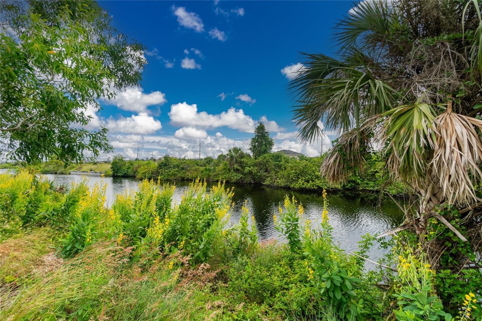 CAPE CORAL - Land
