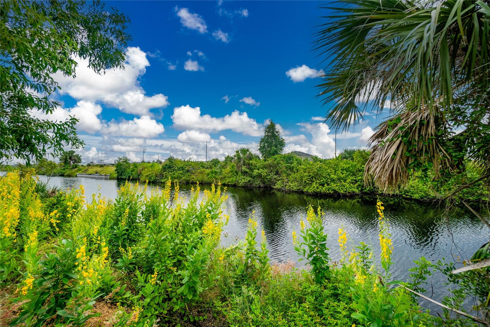CAPE CORAL - Land