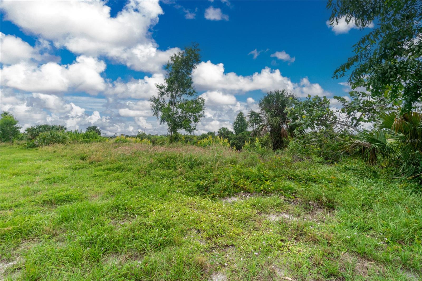 CAPE CORAL - Land