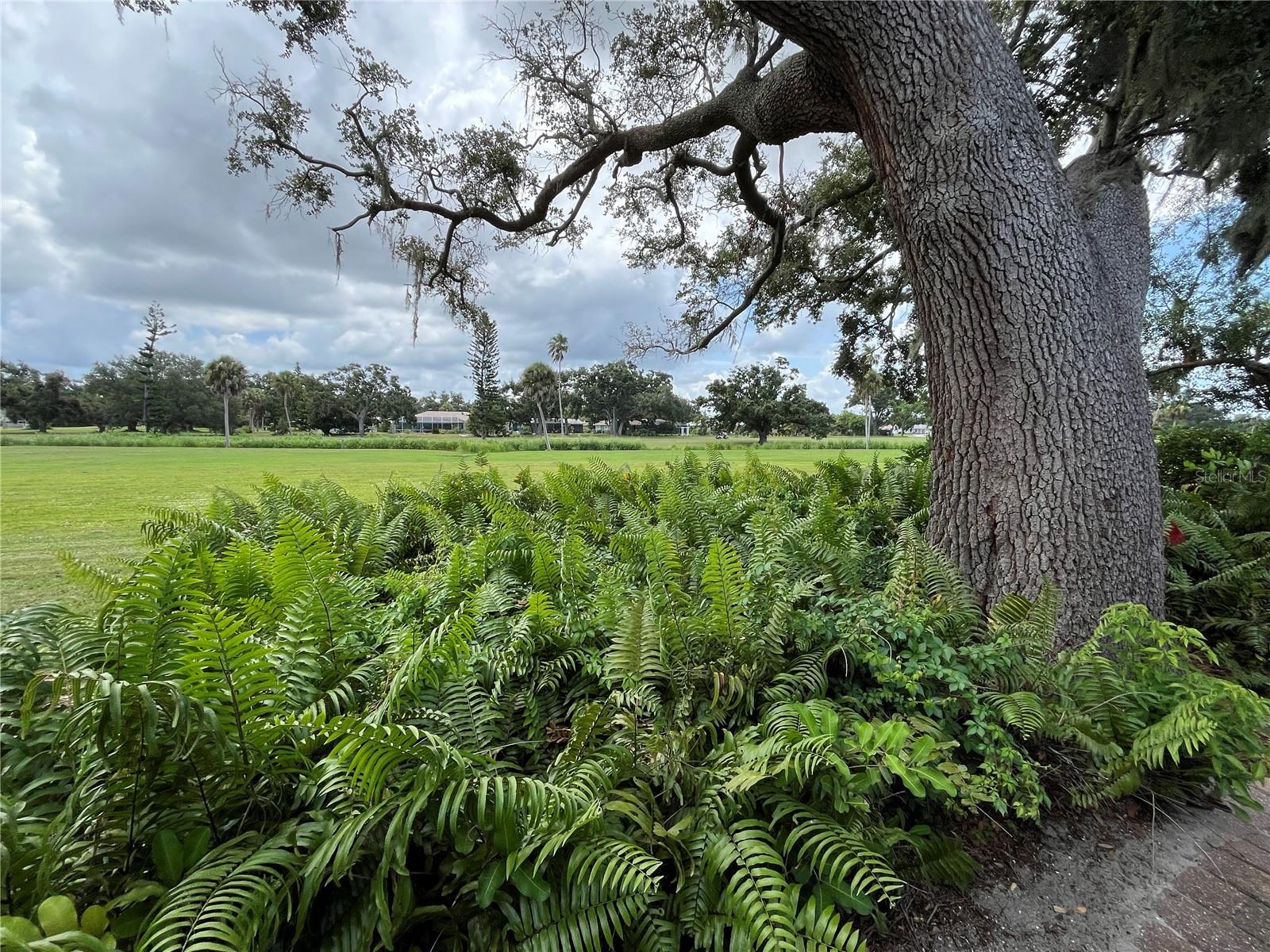 VILLAGE GREEN CLUB ESTATES - Residential