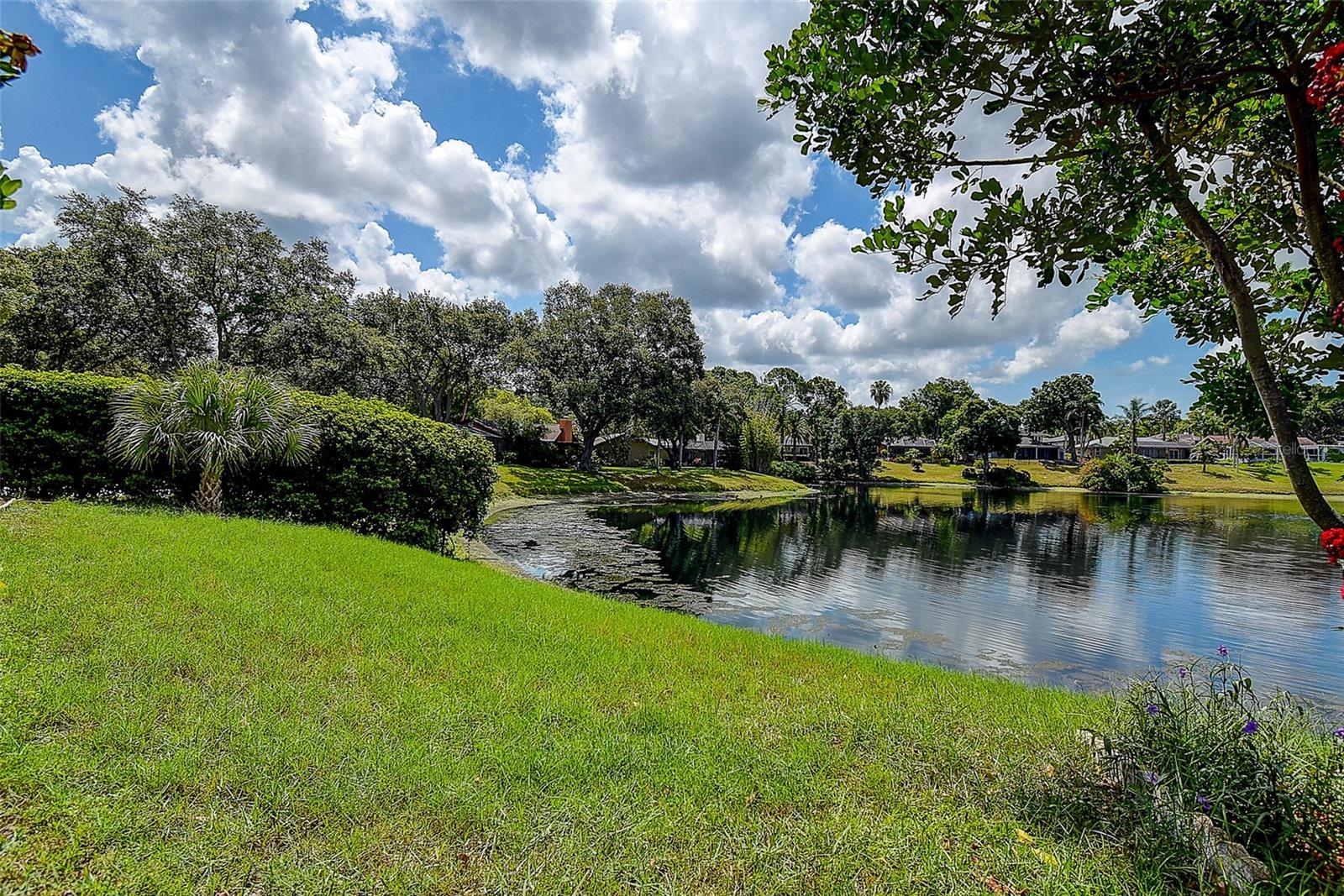 LAKE VALENCIA - - Residential