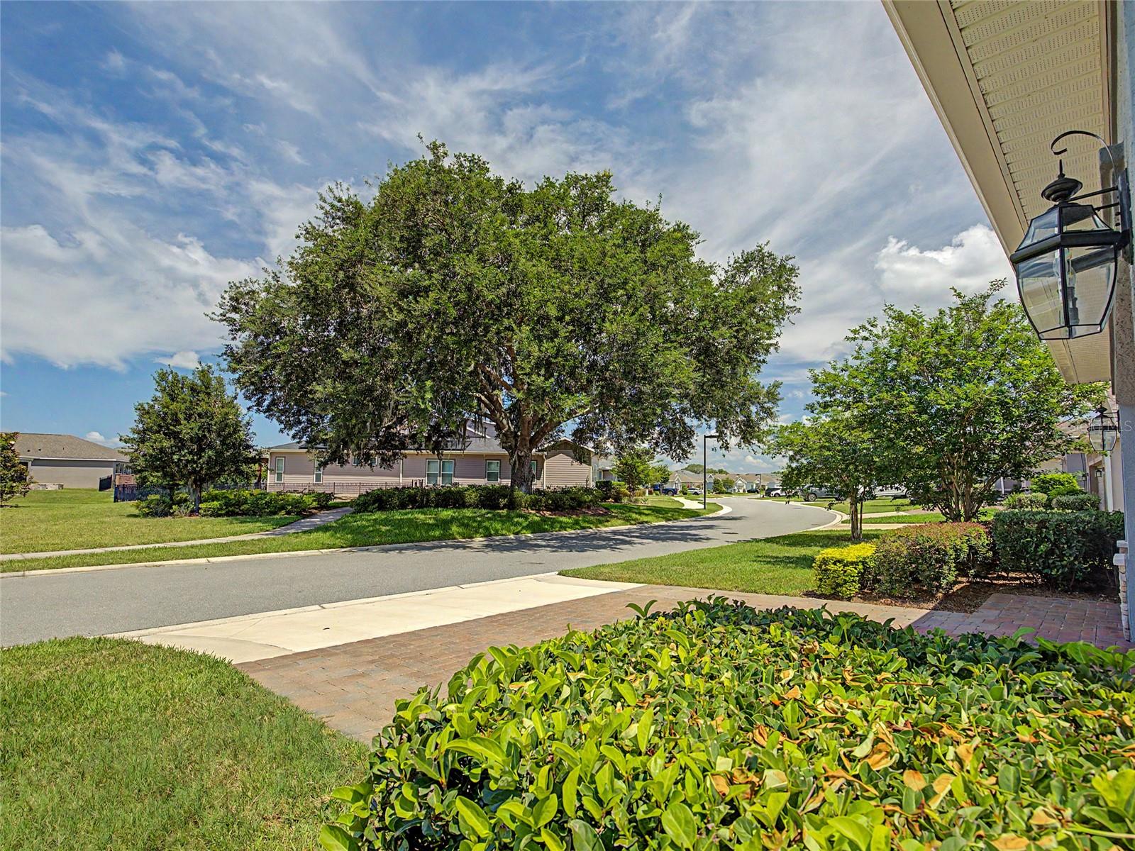 OCALA PRESERVE PH 9 - Residential