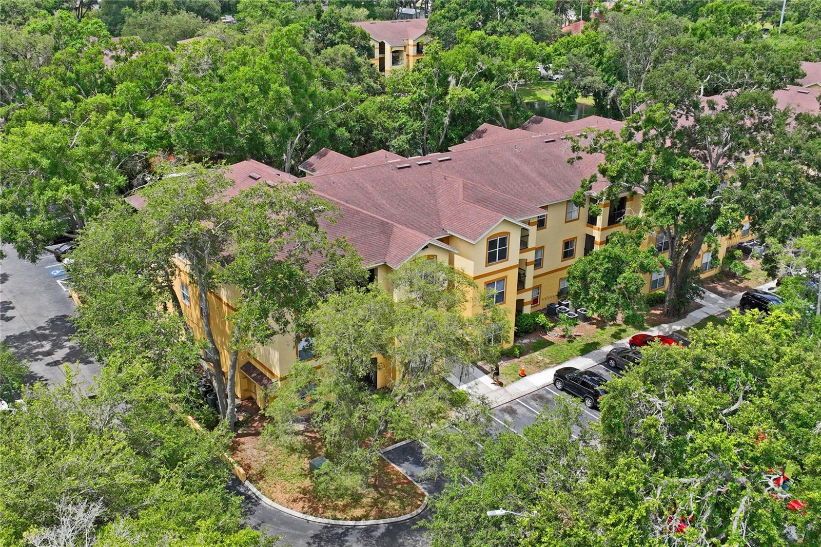 THE PINNACLE AT CARROLLWOOD A - Residential
