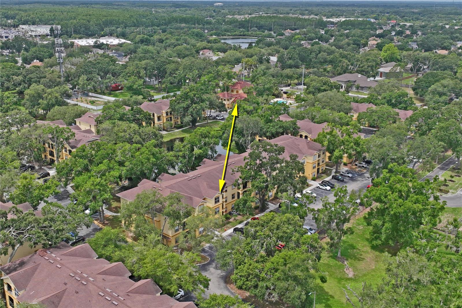 THE PINNACLE AT CARROLLWOOD A - Residential