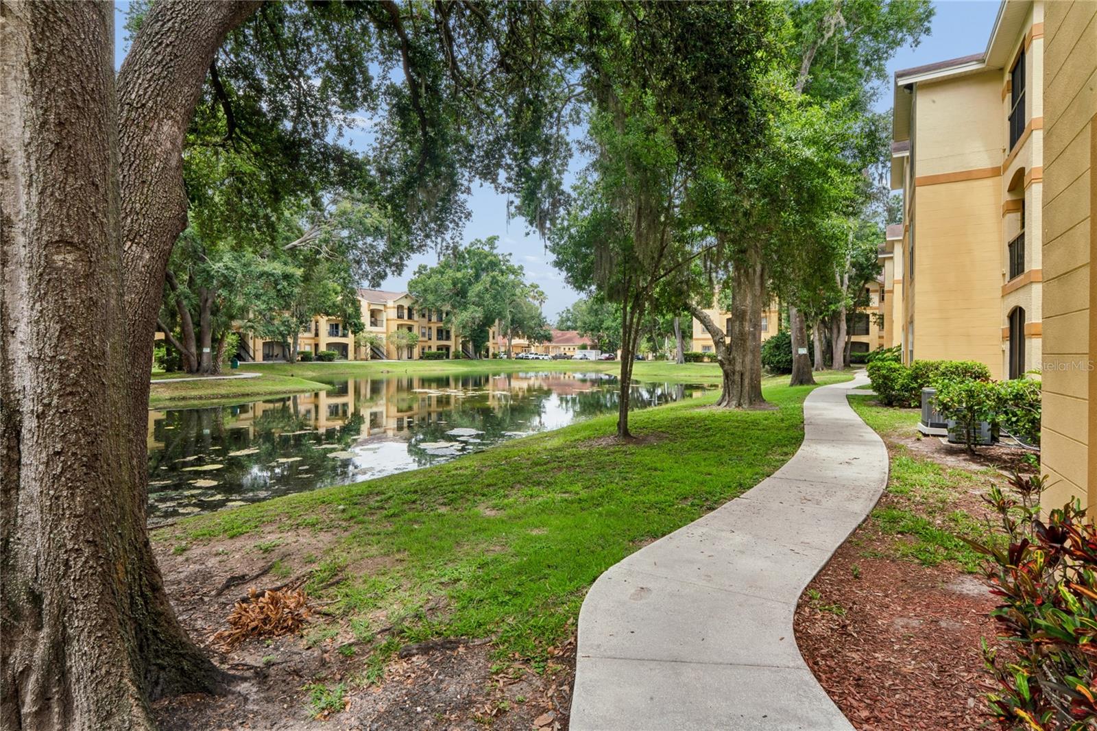 THE PINNACLE AT CARROLLWOOD A - Residential