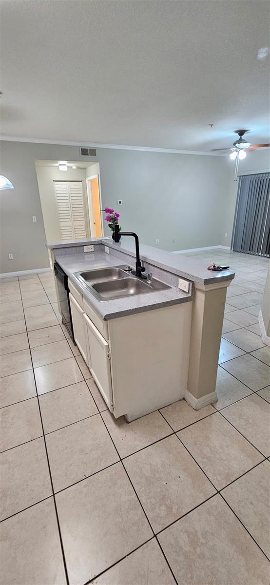THE PINNACLE AT CARROLLWOOD A - Residential