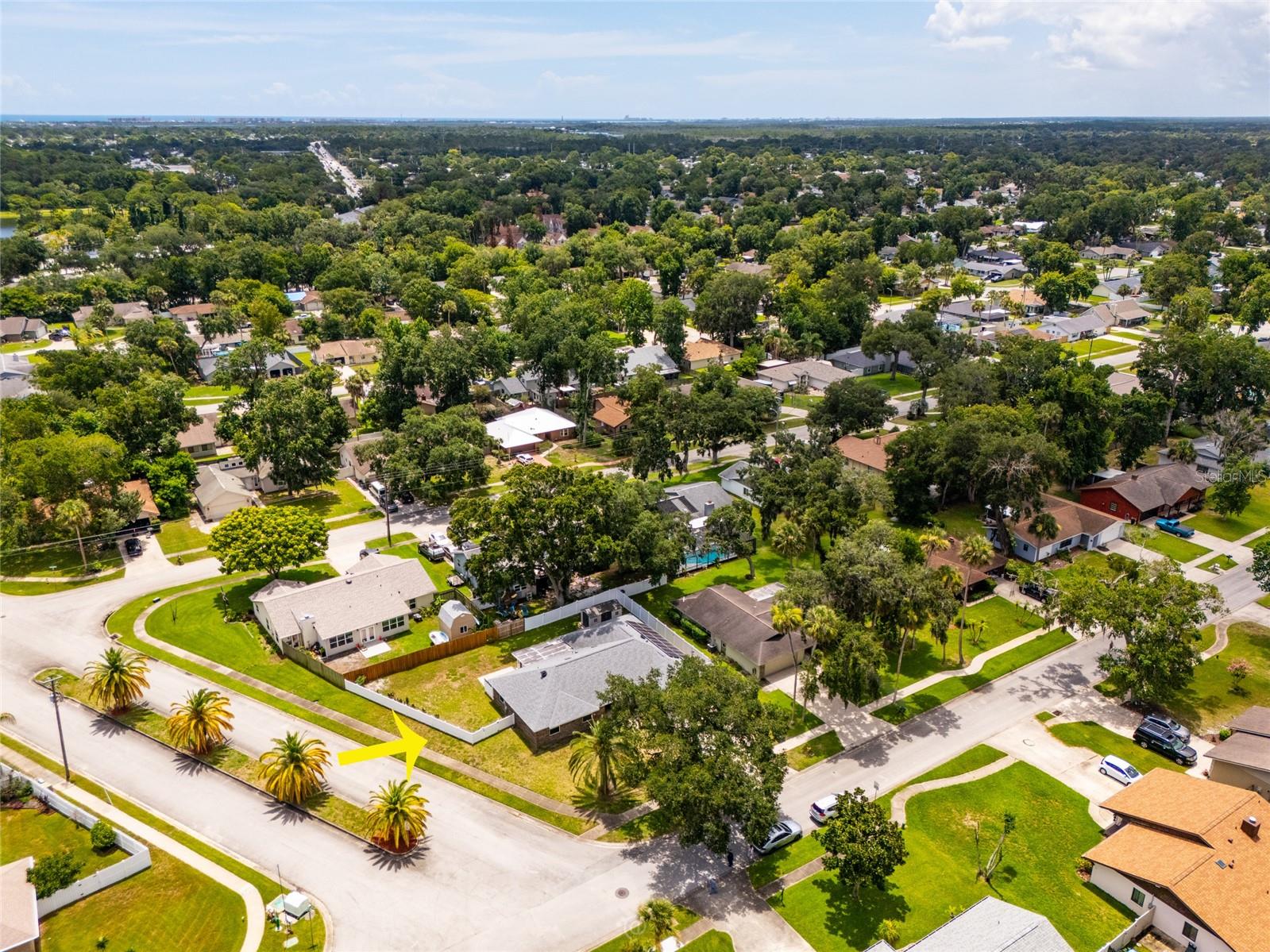 DEEP FOREST - Residential Lease