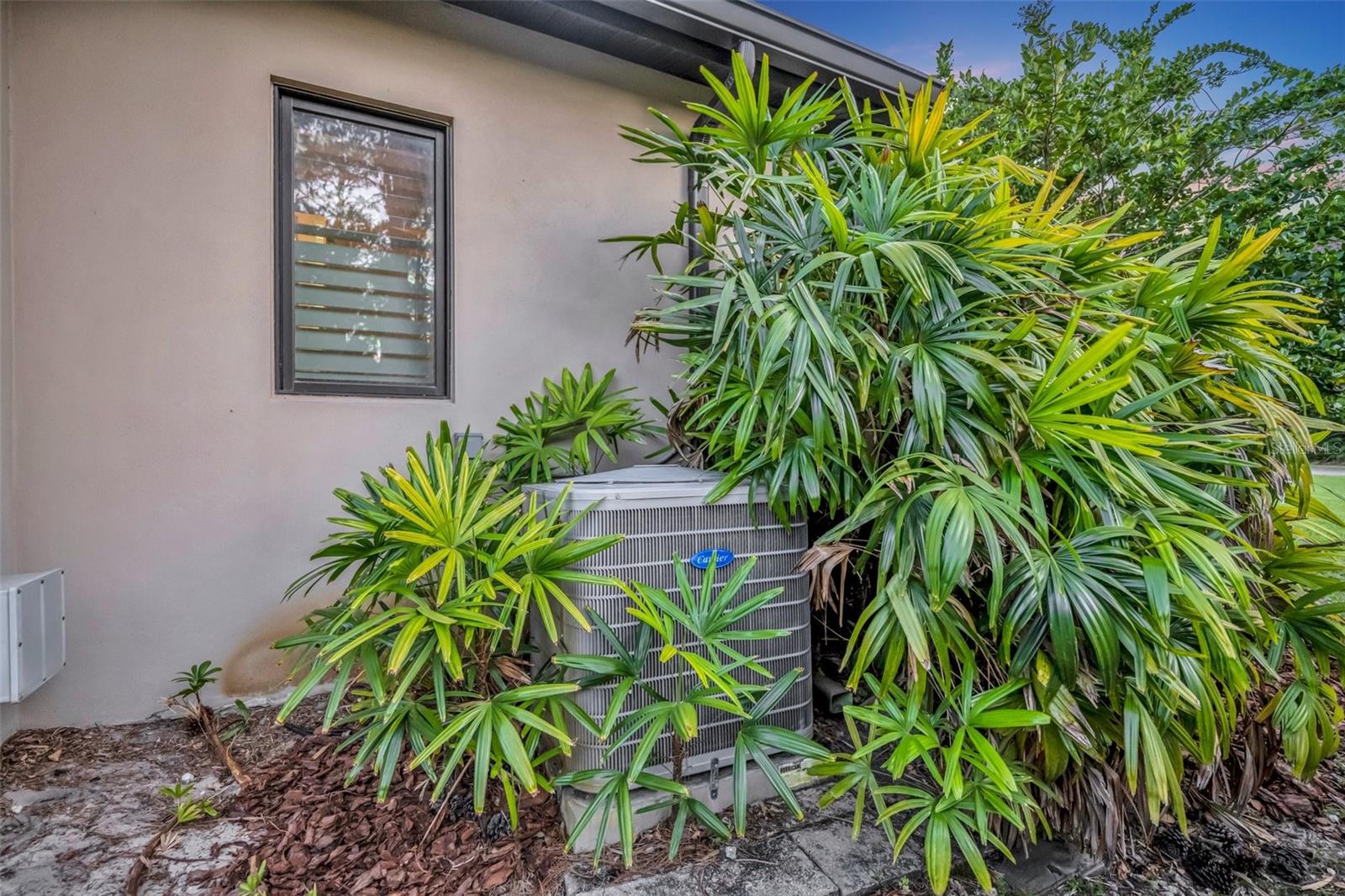 CYPRESS SHORES - Residential