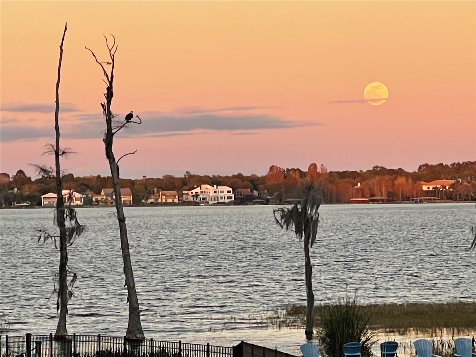 CYPRESS SHORES - Residential