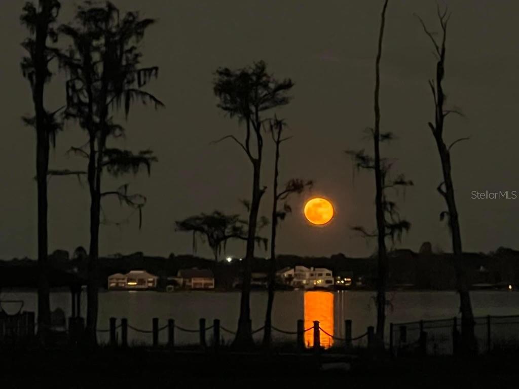 CYPRESS SHORES - Residential