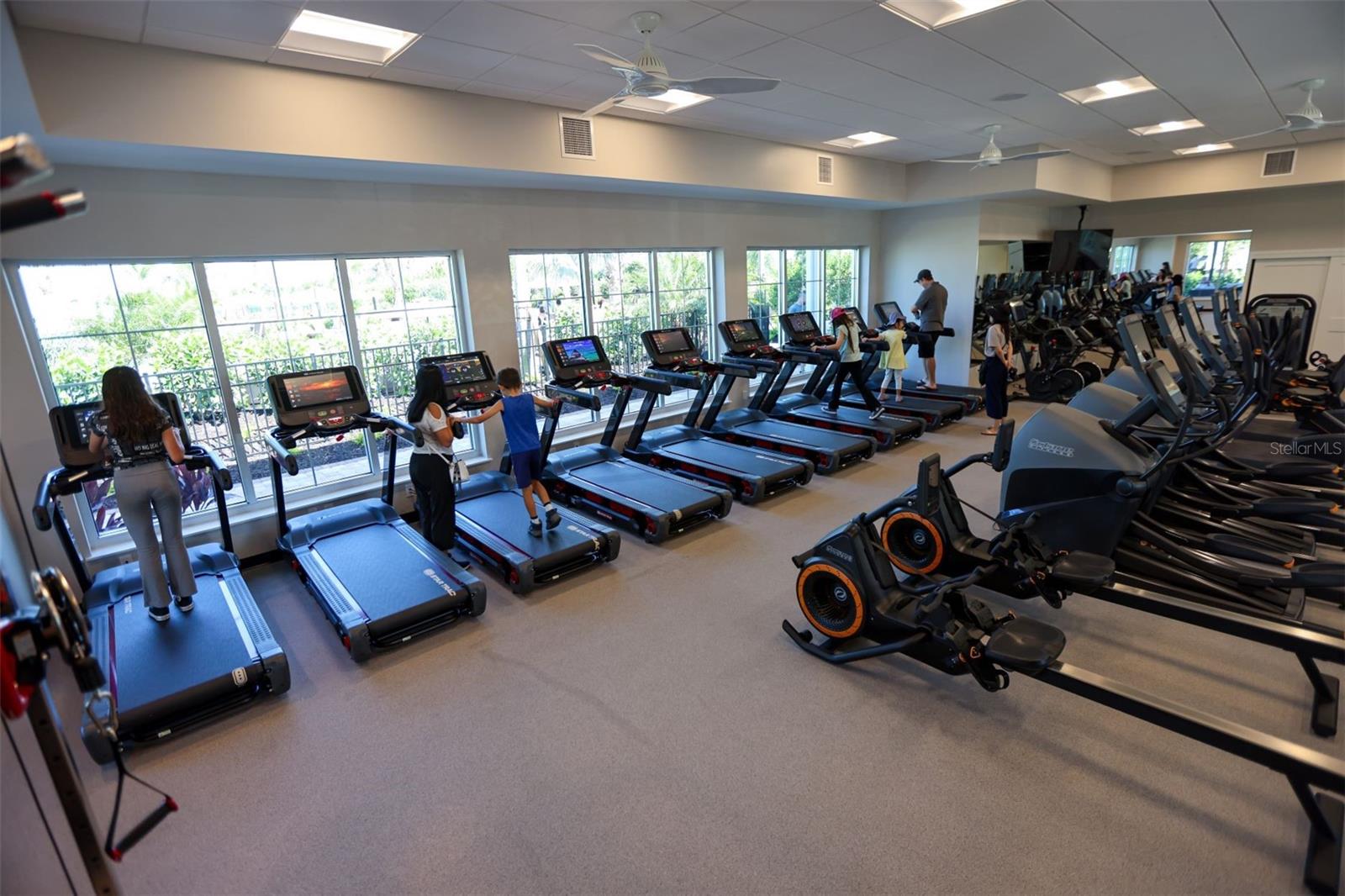 SADDLESTONE AT STAR FARMS LAKEWOOD RANCH - Residential