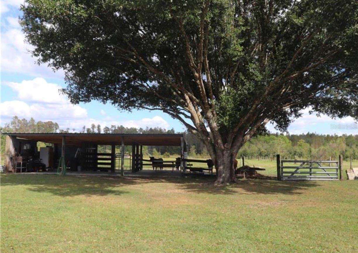 YEARLING TRACE - Residential