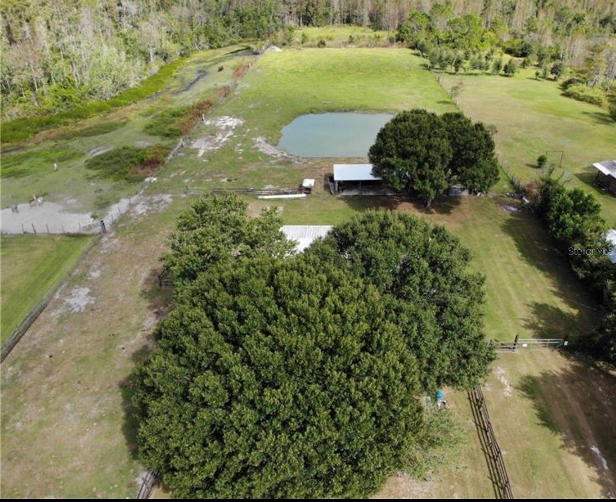 YEARLING TRACE - Residential