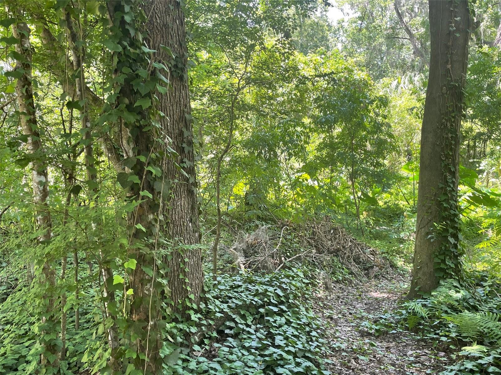 FOREST PARK - Residential Income