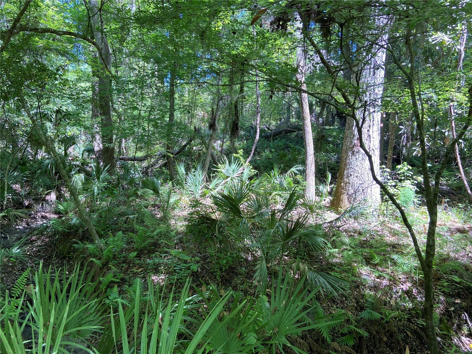 FOREST PARK - Residential Income