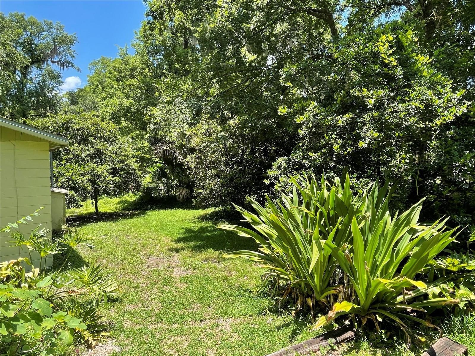 FOREST PARK - Residential Income