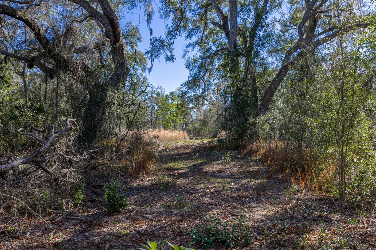 ACREAGE - Land