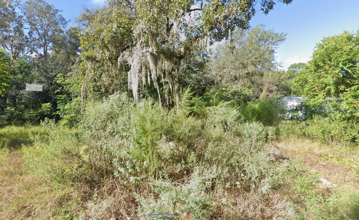 MOON LAKE ESTATES - Land