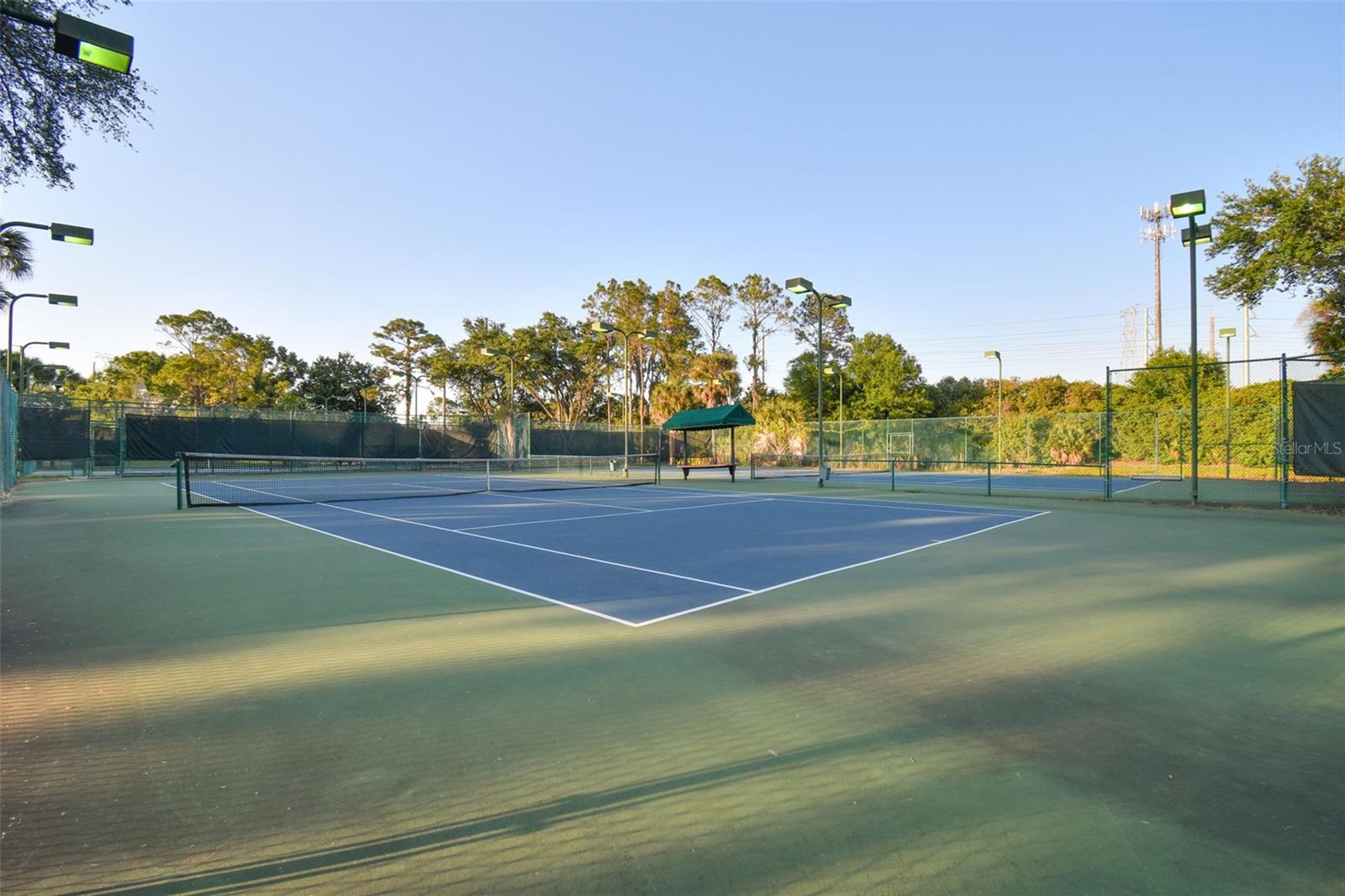 TAMPA PALMS - Residential