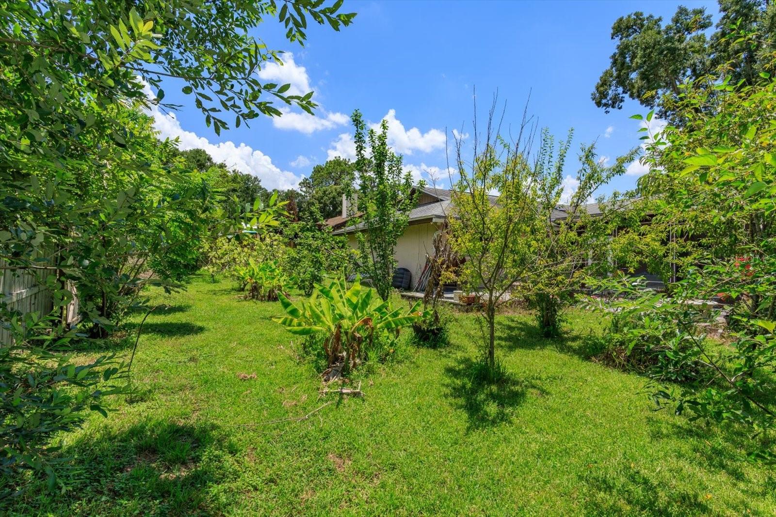 WEKIVA HILLS SEC 09 - Residential