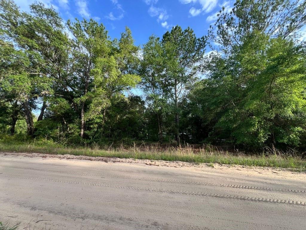 INTERLACHEN LAKES ESTATES - Land
