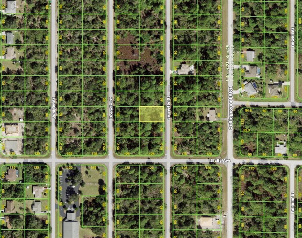 Beautiful lot READY FOR YOUR DREAM HOME. There are lots of new homes being built in the area. This is a great building site in a quiet, non-deed restricted location of Port Charlotte. This property is ideal for the Florida Lifestyle conveniently located close to shopping, golf, boat ramps, beaches and world class fishing. The beautiful beaches of Boca Grande and Manasota Key are just a short drive away! You won't want to miss this opportunity!