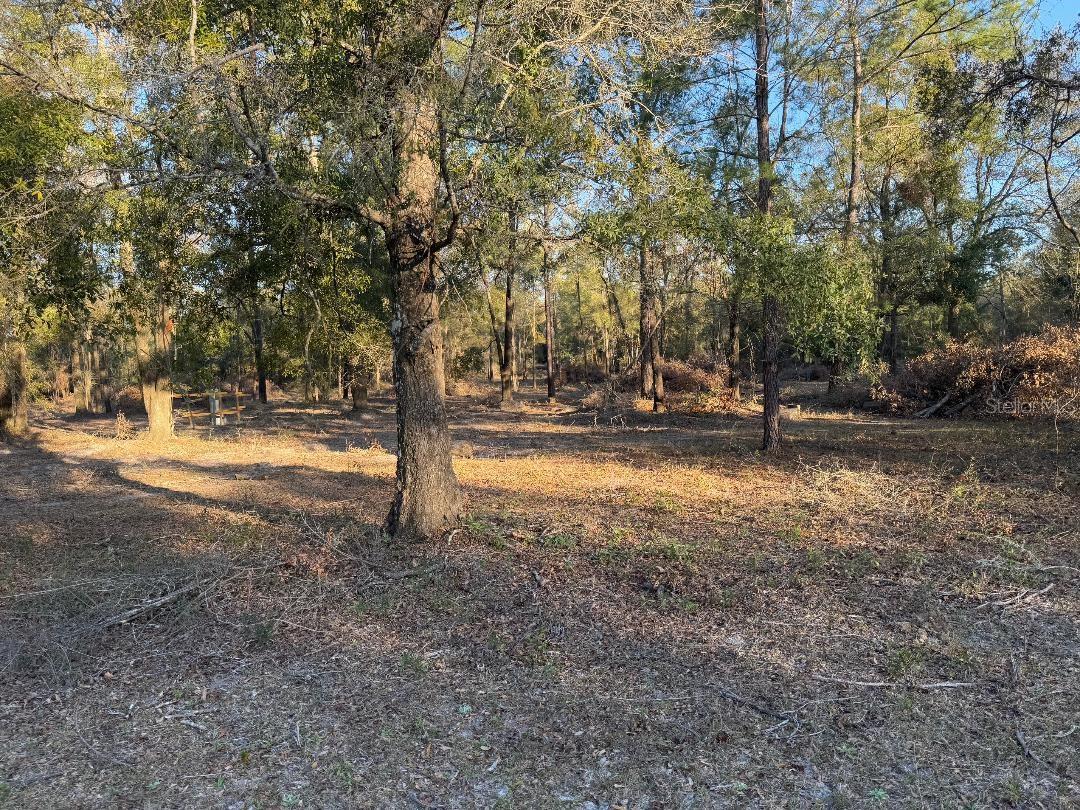 PRICE SLASHED $29,000.00!!! DO YOU WANT TO BE NEAR THE ICHETUCKNEE RIVER AND ITS HEAD SPRINGS? THIS IS THE PERFECT LOCATION FOR YOU. This beautiful 10.33 acre parcel is tucked away in rural Columbia County, just a ten-minute drive to the world famous pristine Ichetucknee River and its head springs.  Swimming, diving, FLOATING, canoeing and kayaking await you. This is the perfect place for you to either build your dream home or to bring your manufactured home. Very private area, nice homes in the neighborhood with well-maintained limerock roads. It's a dream location. Did I say it's near the Ichetucknee River?