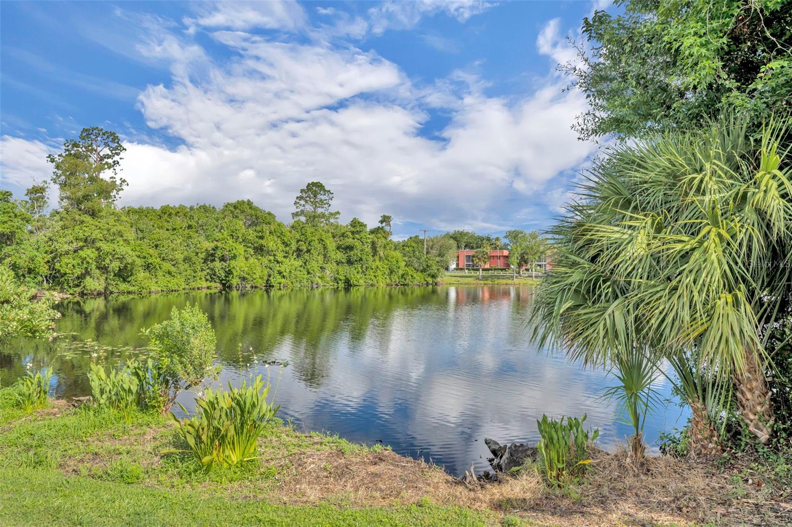 GRANDVIEW AT LAKE WILDMERE - Residential