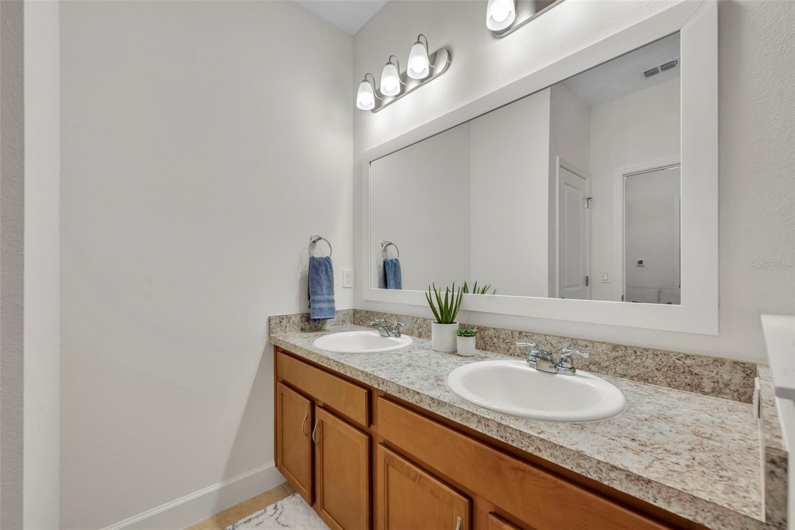 GRANDVIEW AT LAKE WILDMERE - Residential
