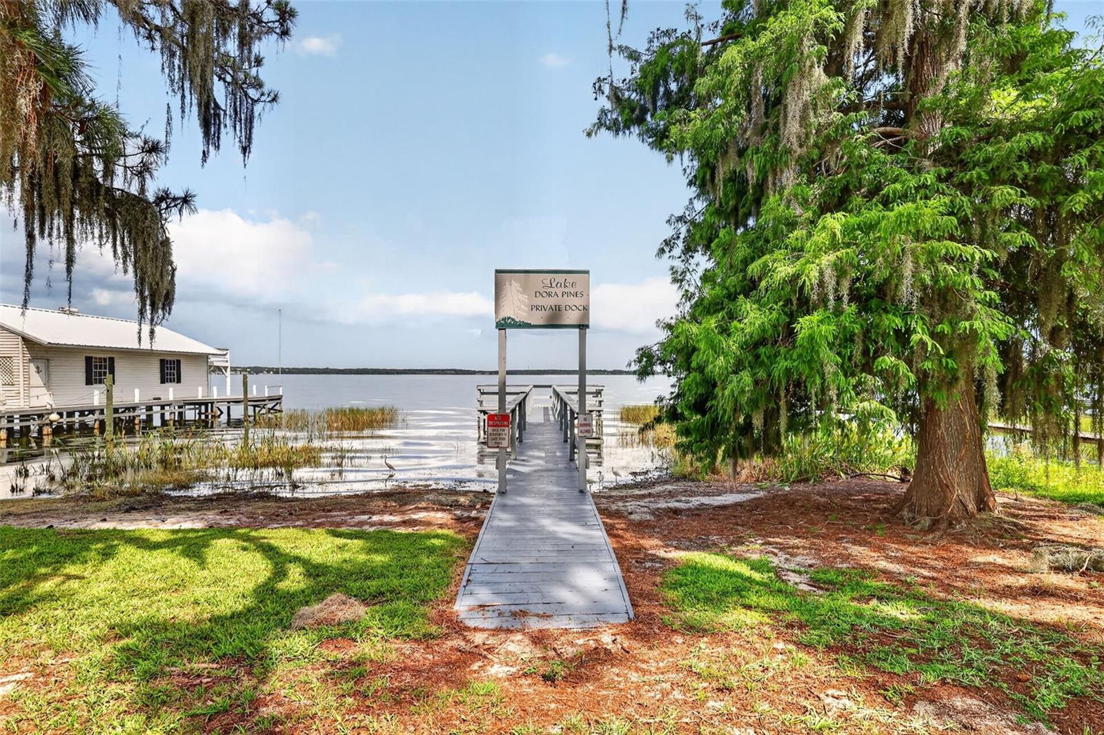 LAKE DORA PINES - Residential