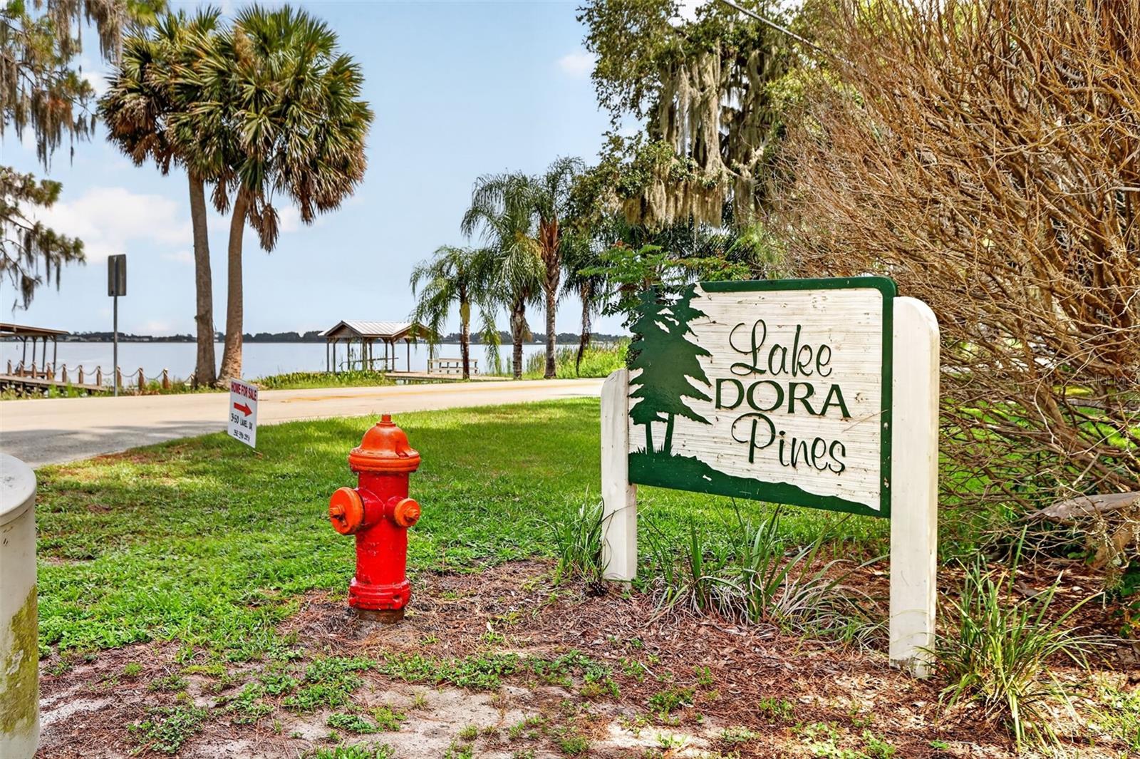 LAKE DORA PINES - Residential