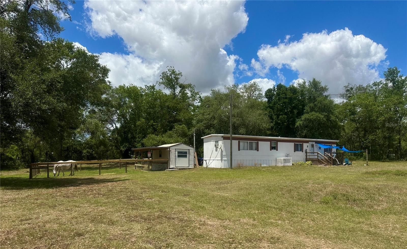 Experience peaceful country living with all the conveniences of Central Florida just minutes away. This versatile 2.5 acre mini farm is fully fenced, high and dry, and completely free of HOA or deed restrictions, offering true freedom of use and ownership. The property features a well maintained 2 bedroom, 2 bath mobile home with approximately 840 sq. ft. of comfortable living space, ideal as a primary residence, seasonal retreat, or income producing rental.

For equestrian or livestock needs, the acreage is thoughtfully laid out with a spacious 100x100 paddock and an additional 40x40 paddock, each equipped with its own run in shed for shelter and convenience. A flat grassy riding area, chicken coop, fire pit, and small pond add to the charm and functionality of the land. A utility shed with water access provides practical storage for tools, tack, or equipment.

Outdoor enthusiasts will appreciate being just 5.7 miles from Goethe State Forest, offering miles of scenic horse trails. The property is also approximately 18 miles from the World Equestrian Center and 15 miles from HITS Ocala, an exceptional location for equestrian competitors and spectators alike. Rainbow Springs State Park and Devil’s Den Prehistoric Spring are both within 15 miles, providing easy access to swimming, kayaking, and year round adventure. The Gulf Coast is roughly 23 miles away, with the Atlantic Coast just over 100 miles for effortless beach day trips.

Adding to its appeal, this mini farm is already income producing, with one side of the home operating as an Airbnb, a revenue generating farm stand, and an established Harvest Hosts RV site, offering multiple streams of passive income in a highly desirable area.

Schedule your private showing today and discover the possibilities this unique property offers.