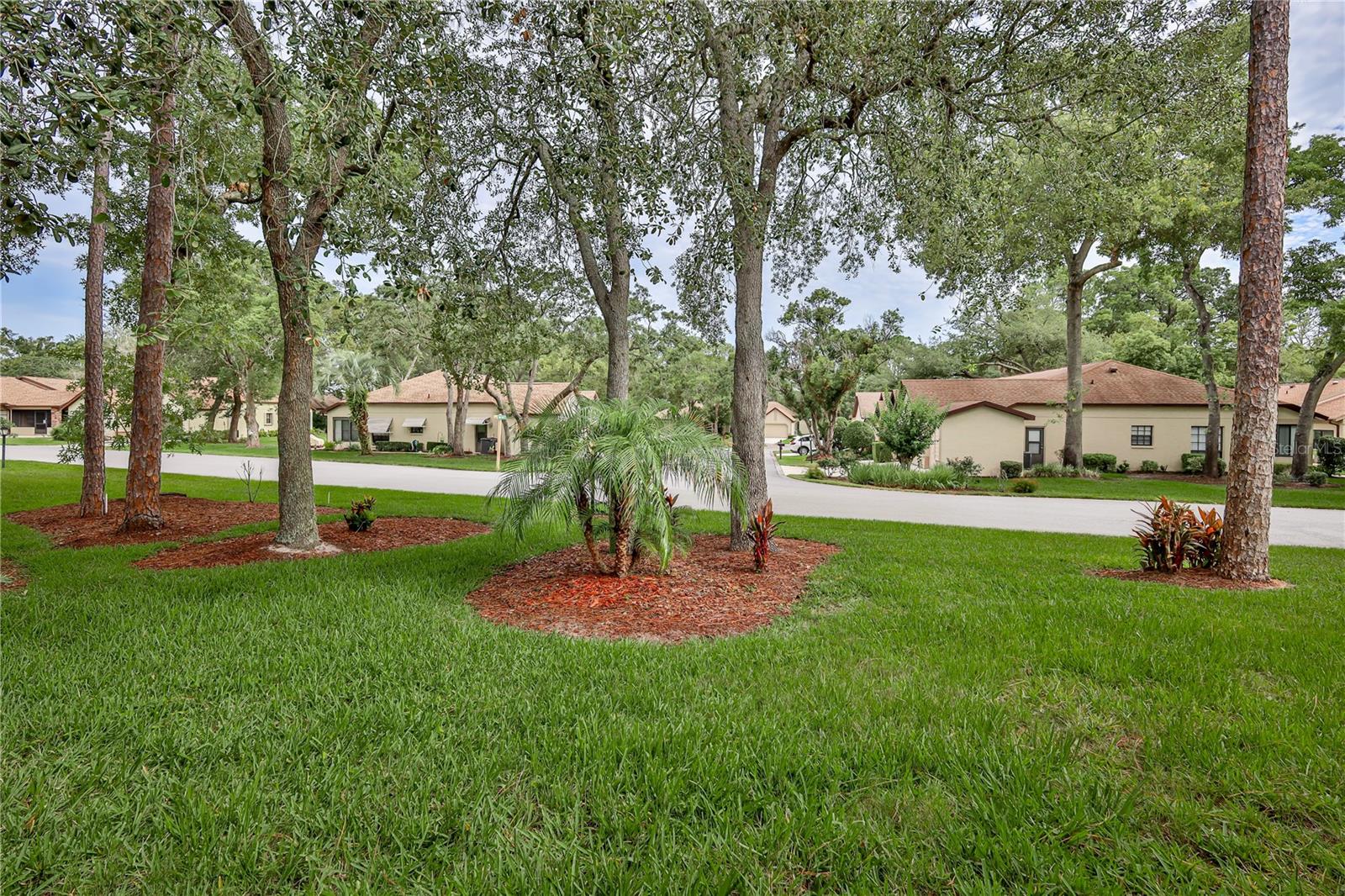 TIMBER PINES - Residential