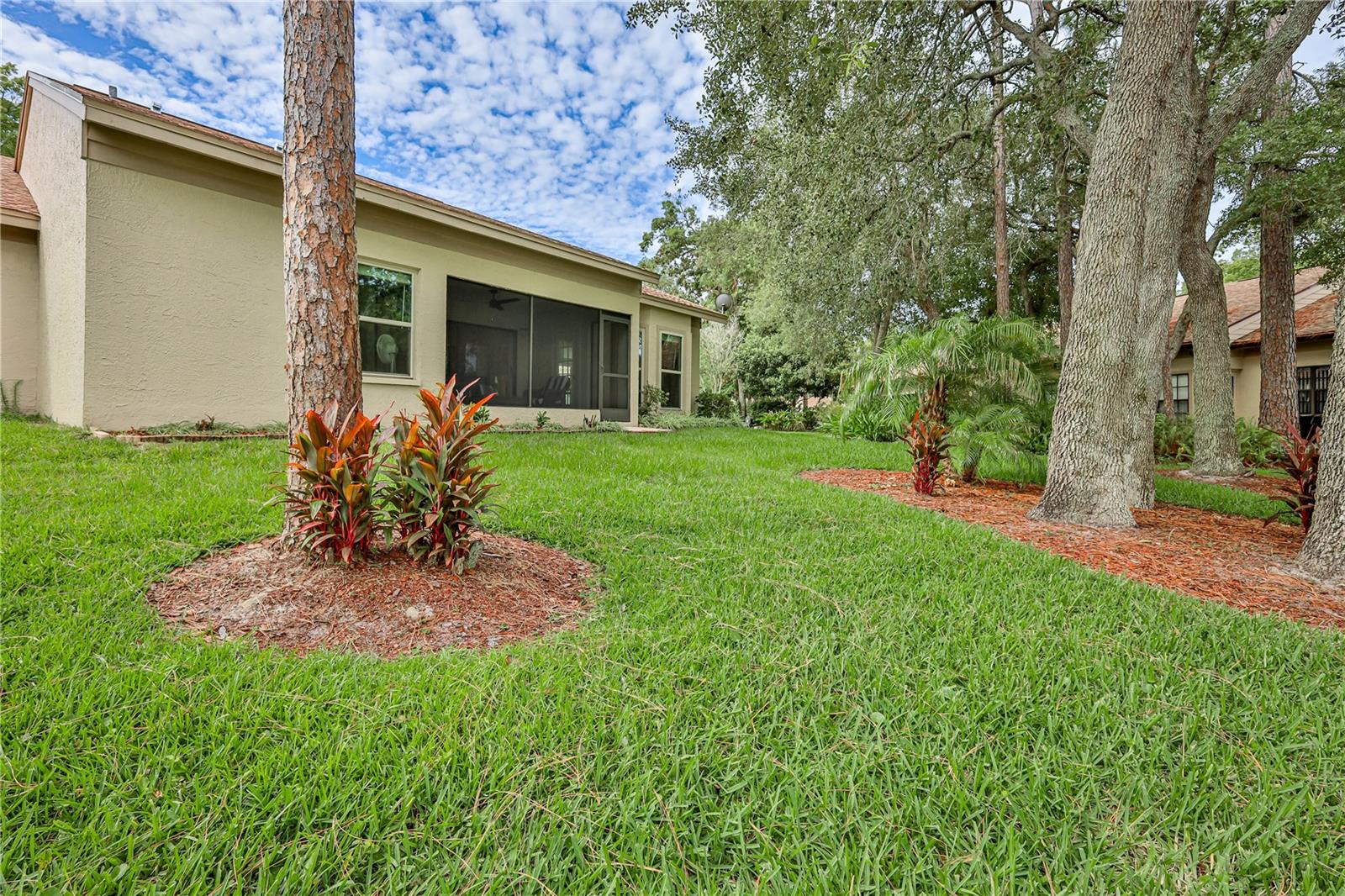 TIMBER PINES - Residential