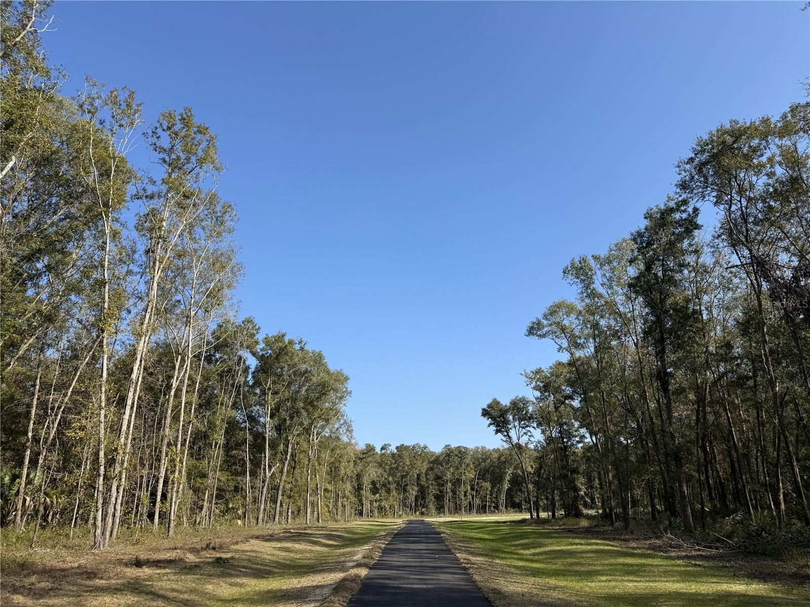 This listing is for Irvine Acres Lot #3. 10 acres in the heart of Horse Country located off private PAVED lane. A Must See. Abundance of wildlife along with Live Oaks, and towering Longleaf Pines. Incredible rolling terrain. Minor Deed Restrictions to protect the integrity of your investment but give you the freedoms you would expect when owning land. Less than 25 minutes from Ocala and Gainesville, Great Location. 5 minutes from the WEC Ocala Jockey Club (recently purchased by the owners of the World Equestrian Center), 25 minutes from the World Equestrian Center. OWNER FINANCING AVAILABLE 20% Down, 10% Interest, based on 10 year amortization, 3yr fixed, 3 year balloon, Payments = $3,076/mo (Buyer pays all Closing Costs on Owner Financed Purchases includes Doc Stamps on Deed & Mortgage, Intangible Tax on Mortgage, Title Insurance, $100 Loan Fee, $10/mo Collection Fee...).... Additional Acreage Available - call for details. LA will show you all available inventory upon request.