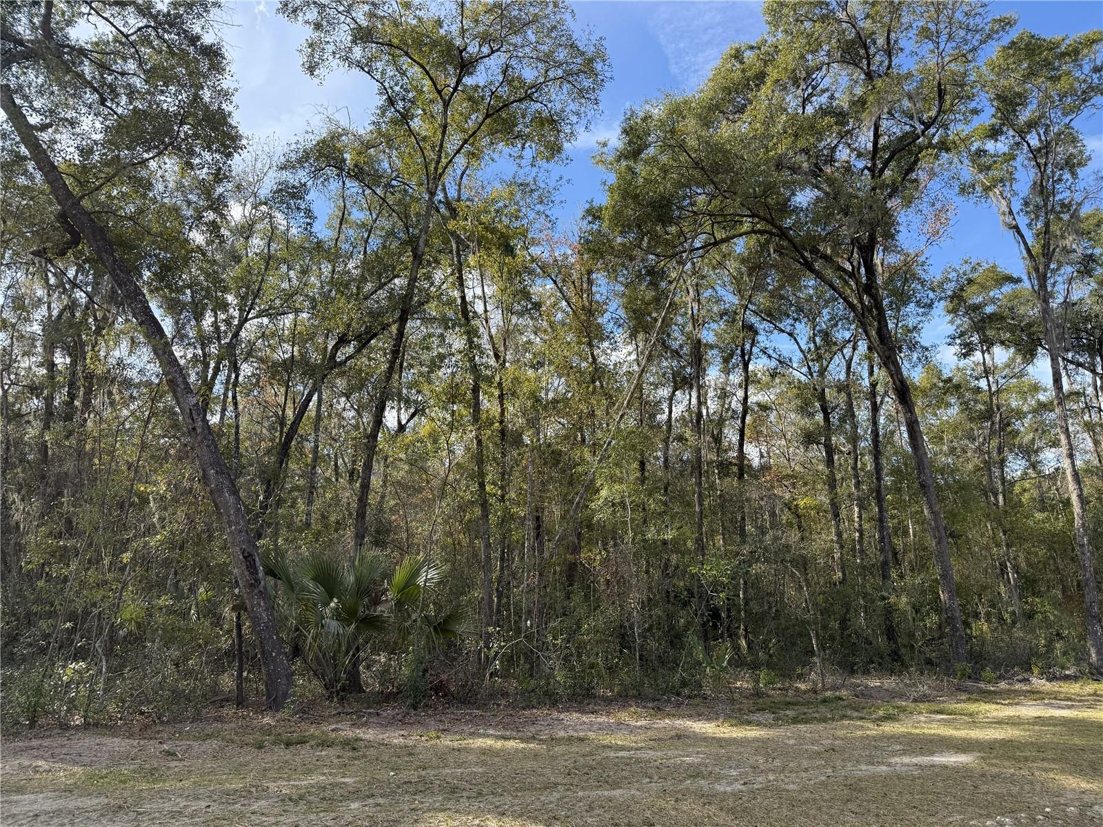 IRVINE ACRES - Land