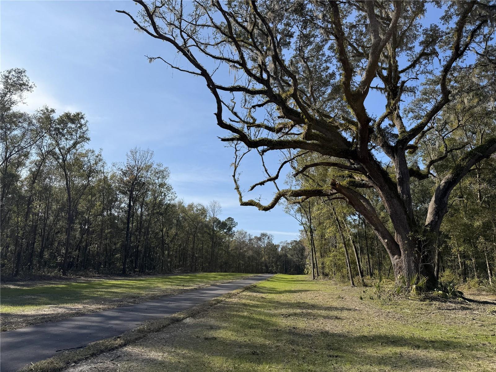 IRVINE ACRES - Land
