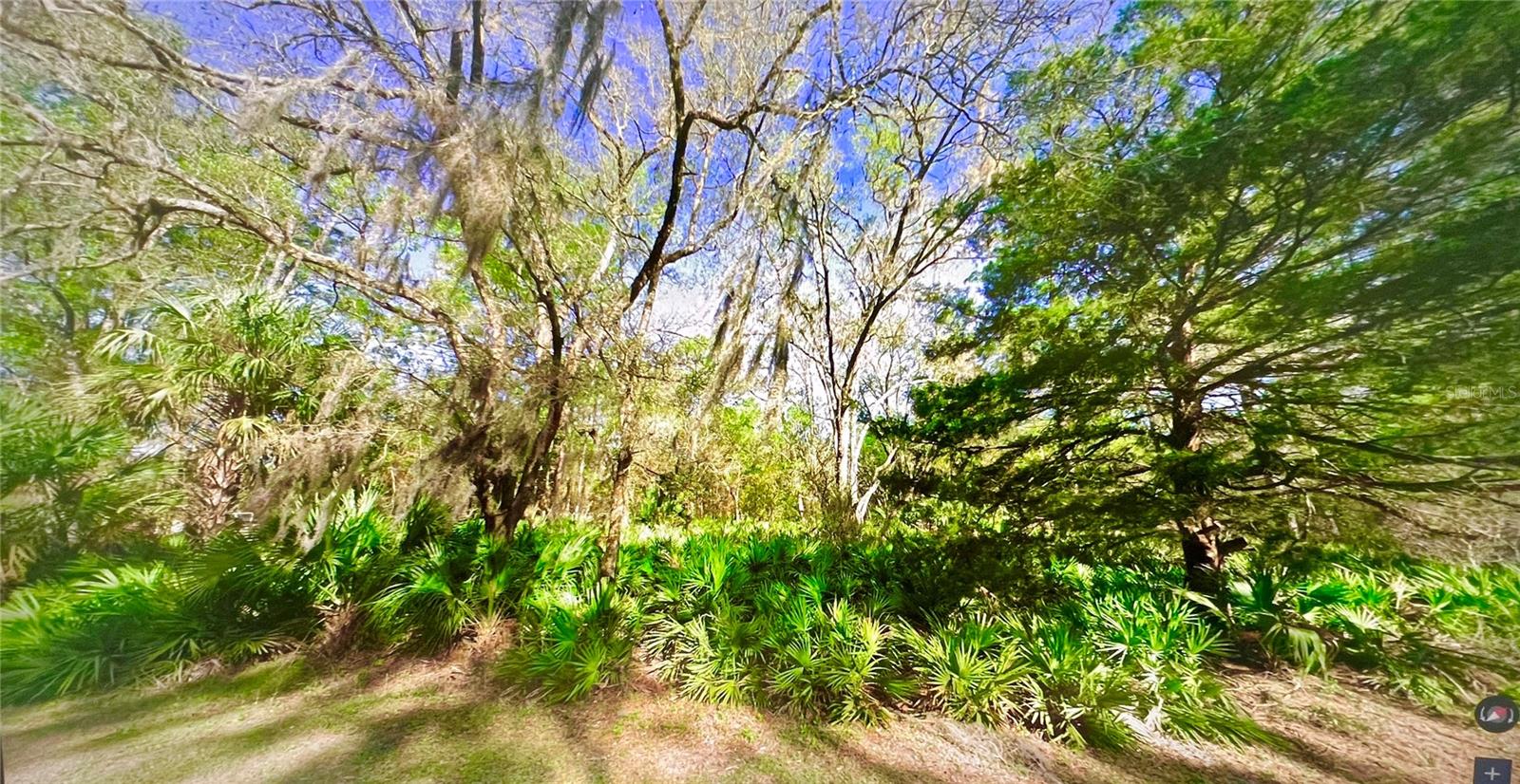 Discover this spacious lot in Crystal River! Just minutes from the public boat ramp to Lake Rousseau, a popular spot for bass fishing and stunning Florida sunsets. The lot is high and dry and not part of an HOA, NOT A FLOOD ZONE- Giving you freedom and flexibility. Enjoy the charm of a small town with local shops, restaurants, and essential services, while still being within easy driving distance of larger cities. A prime location to plan and build your future home! NO MH ALLOW.