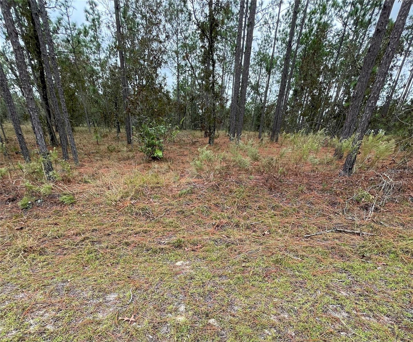 Beautiful homesite ready for a home. Close to tons of outdoor activities. Visit historic Dunnellon or jsut sit out back in the quiet. There is a voluntary HOA to use the clubhouse and or small gym. Otherwise there is not a required HOA. Buyer will verify all details related to the community, property and use to ensure it will allow the Buyers intended use.